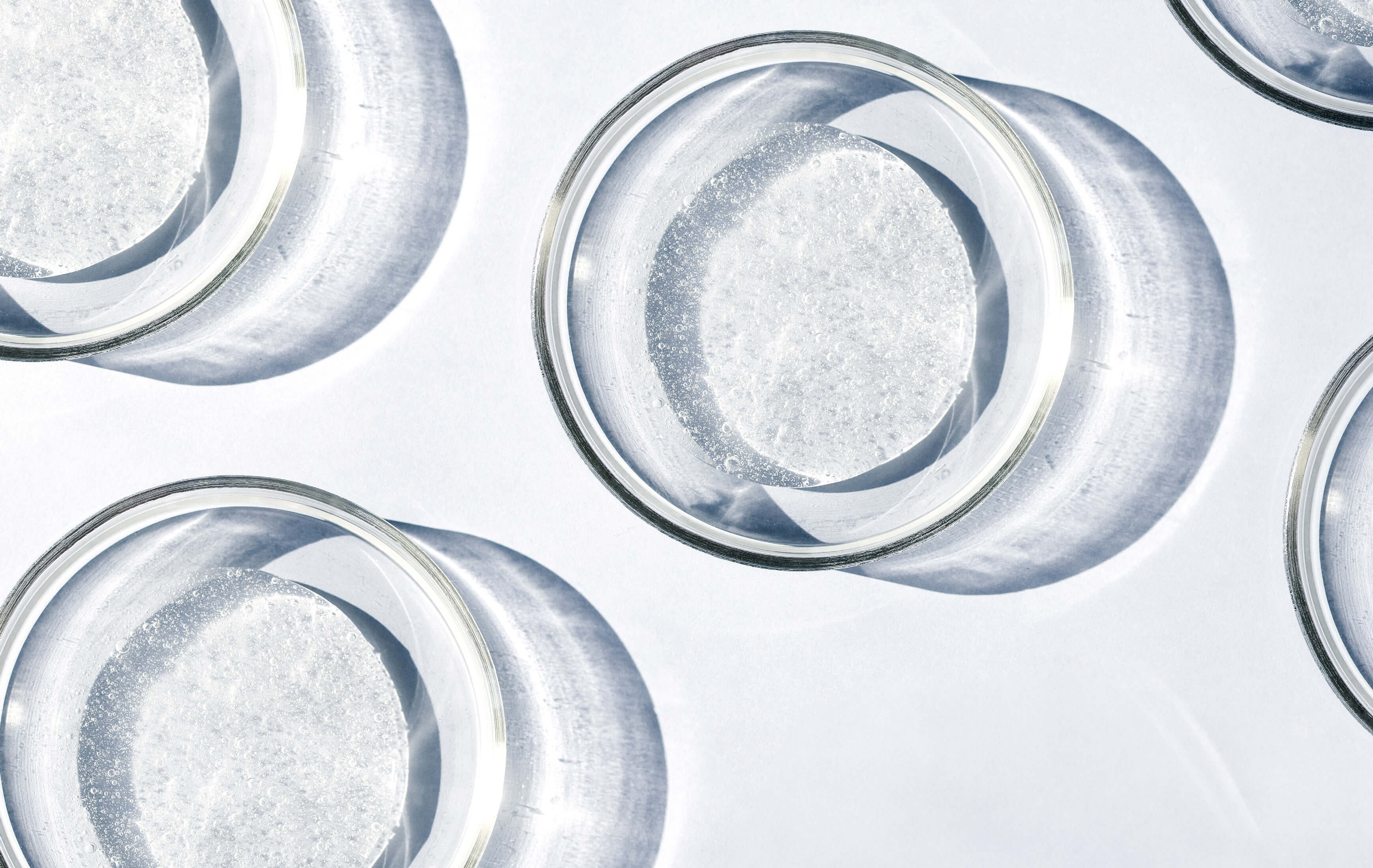 Prx Protocol WiQo – PRX-Therapy Protocols